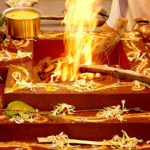 Siva Nadi Jyothisham Online